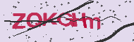 Captcha認証コード